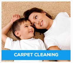 Carpet Cleaning